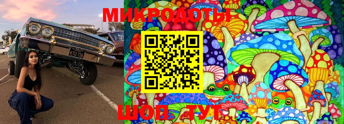 Псилоцибиновые грибы ЛСД  Вход с VPN  Галлюциногенные грибы Psilocybe  закладка  Чита 